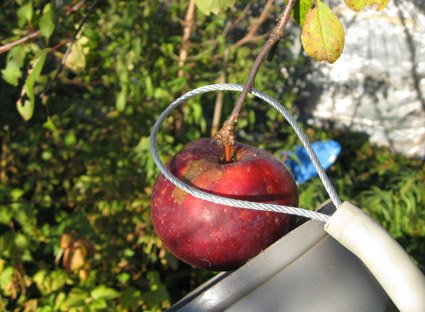 Как сделать съемник для яблок своими руками